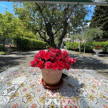 Rosy Apartment - Levanto, 5 Terre Εξωτερικό φωτογραφία