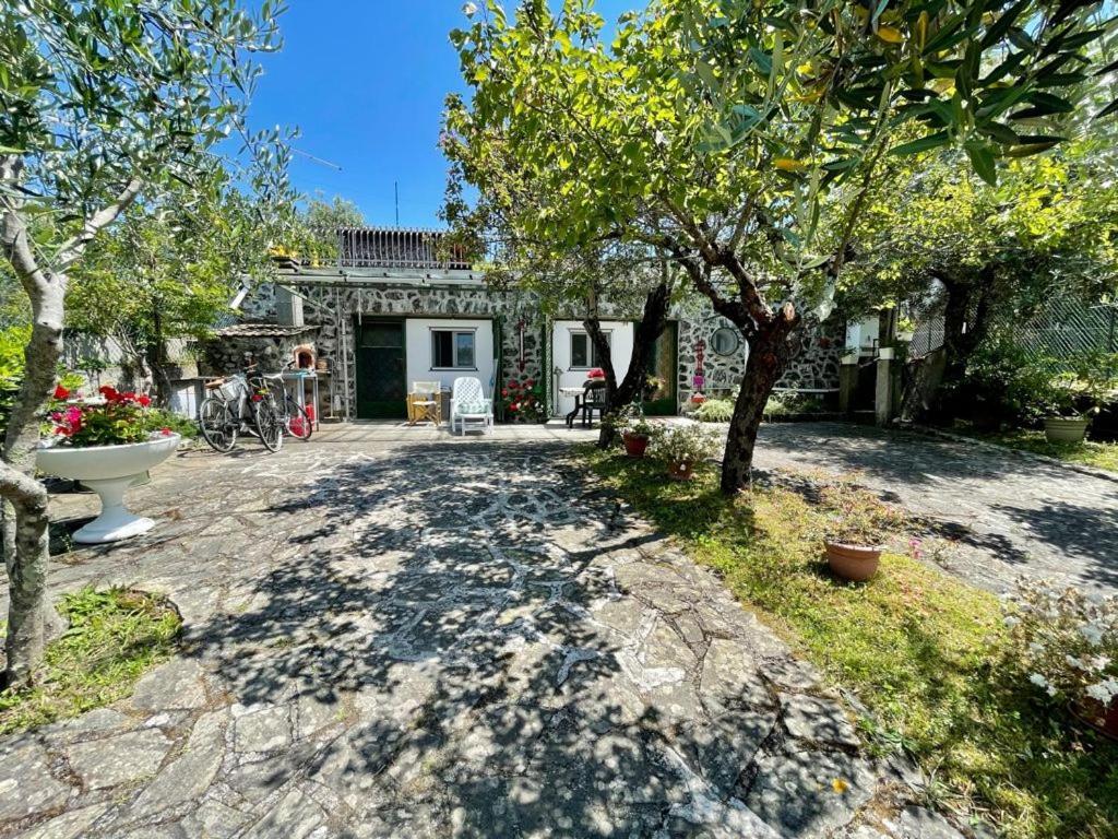 Rosy Apartment - Levanto, 5 Terre Εξωτερικό φωτογραφία