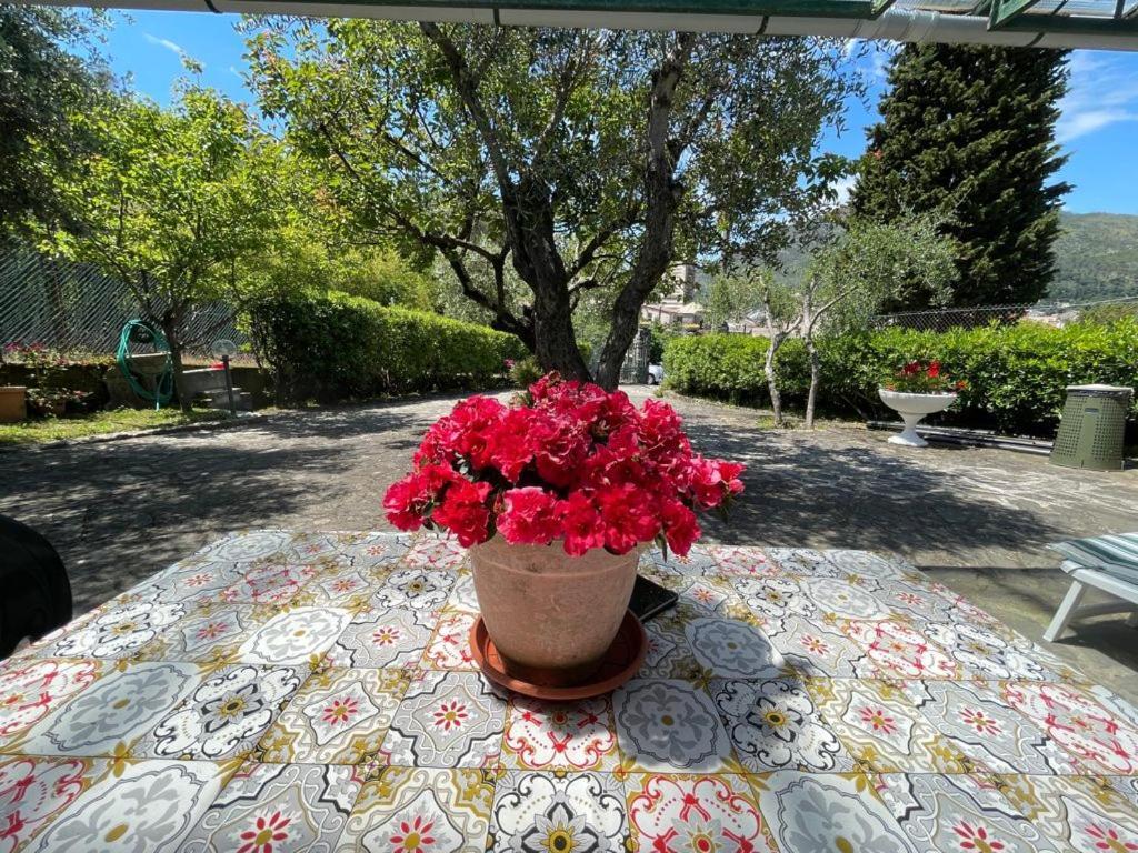 Rosy Apartment - Levanto, 5 Terre Εξωτερικό φωτογραφία