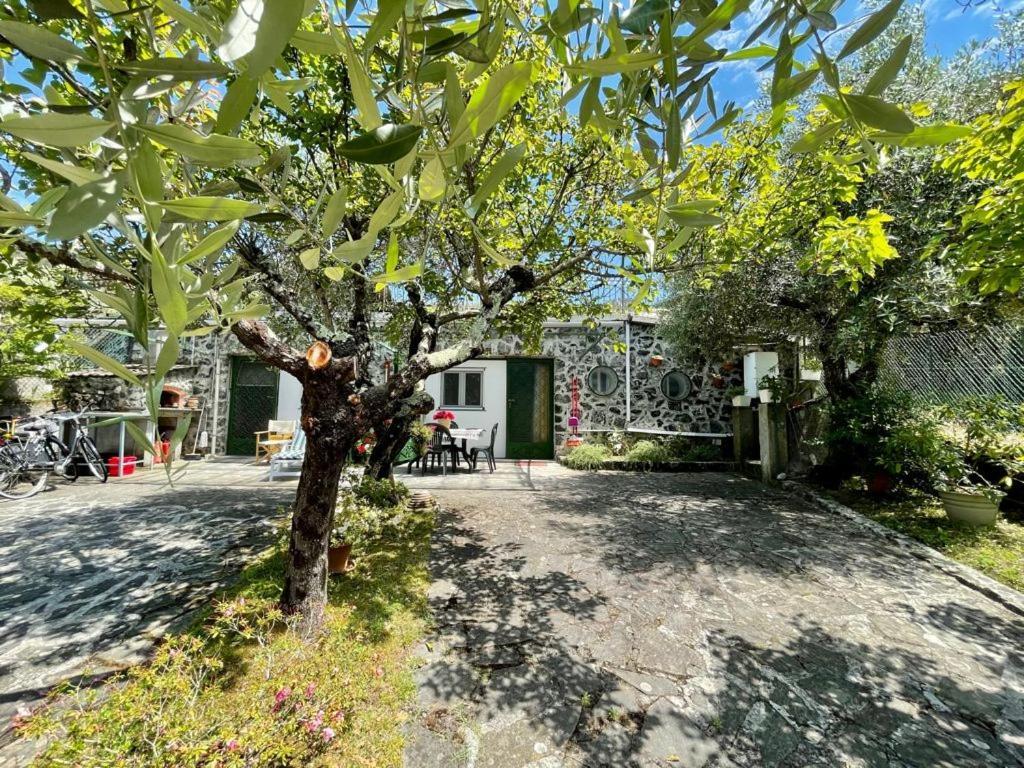 Rosy Apartment - Levanto, 5 Terre Εξωτερικό φωτογραφία
