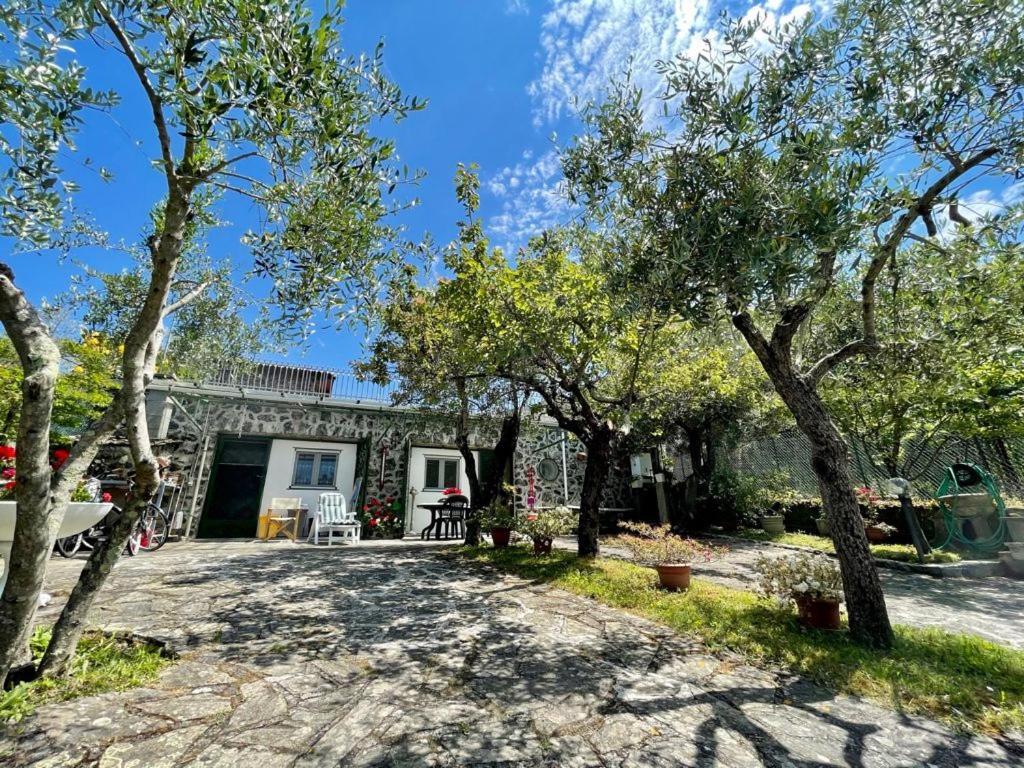 Rosy Apartment - Levanto, 5 Terre Εξωτερικό φωτογραφία